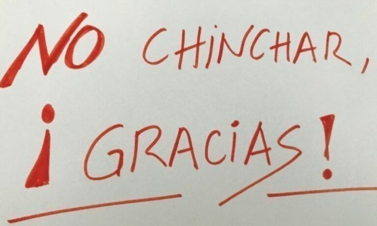 Chinchar: ¿Qué es y su relación con los insectos?