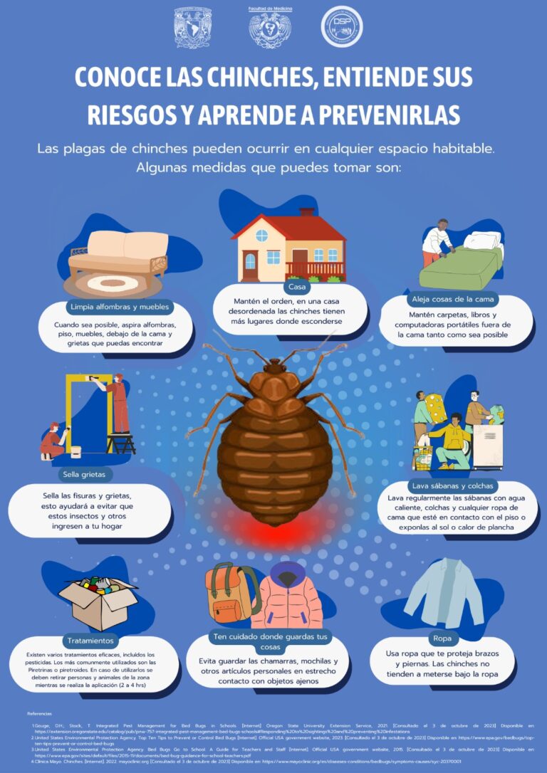 Chinches medidas: Control y eliminación efectiva de plagas