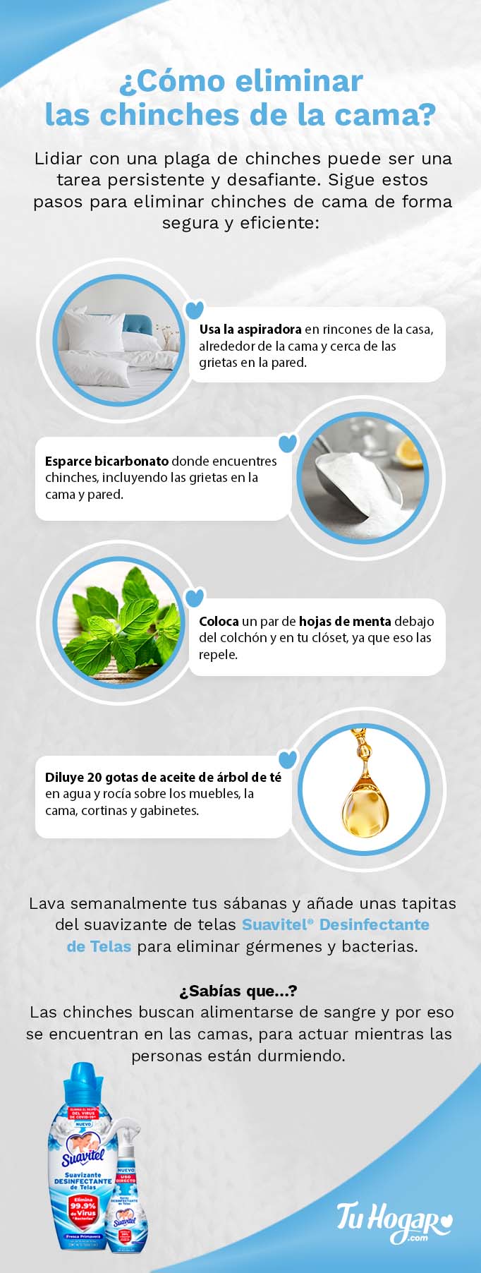 Como eliminar chinches de cama con alcohol: guía efectiva
