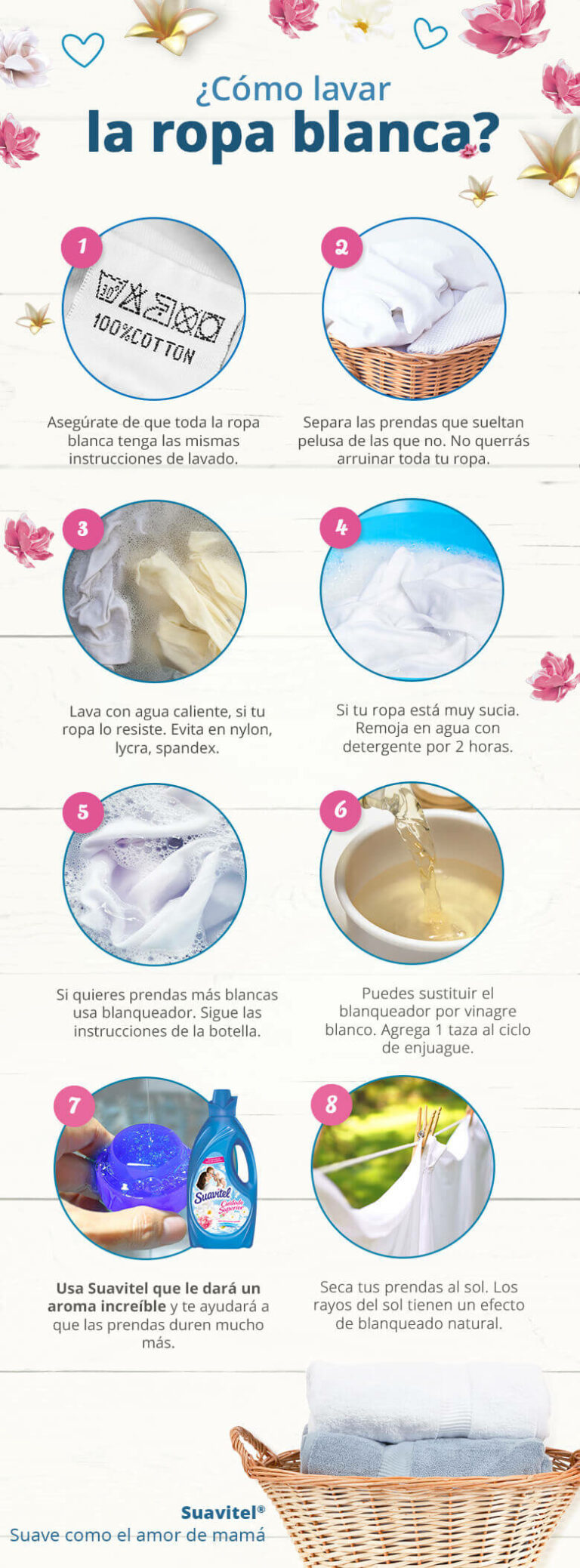 Cómo lavo la ropa si tengo chinches: Guía efectiva