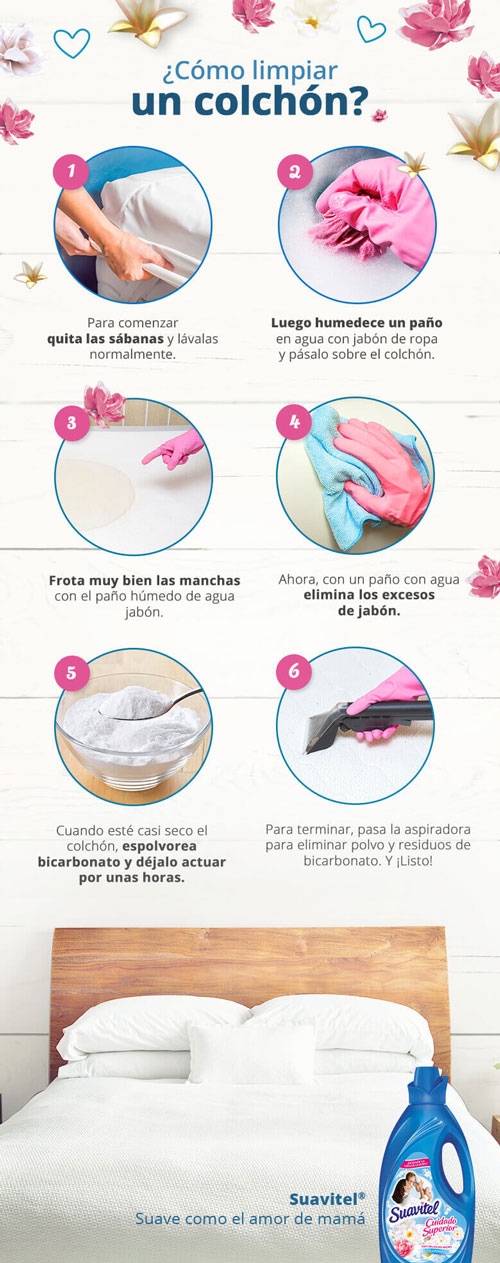 Cómo limpiar el colchón de ácaros y chinches: Guía efectiva