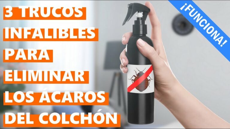 Cómo quitar los ácaros del cuerpo: Guía efectiva y práctica