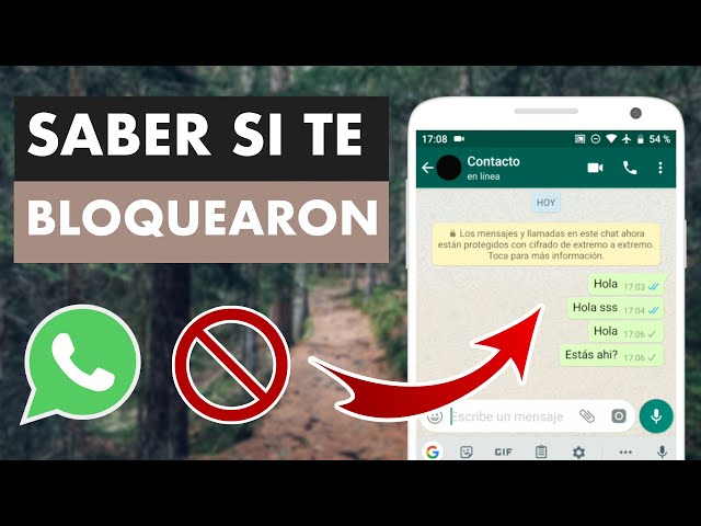 Cómo se ve si te pica una chinche: Identifica las picaduras