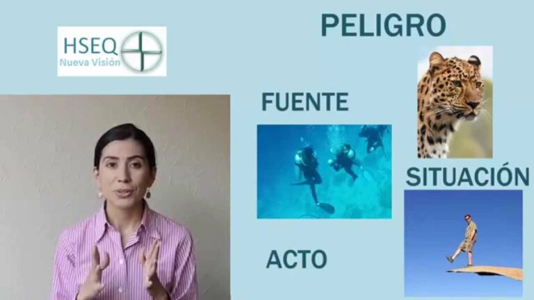Cuál es el peligro de los chinches: riesgos para la salud
