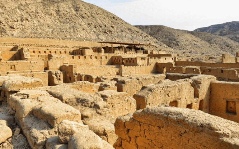 El chincha: Descubre su significado y curiosidades