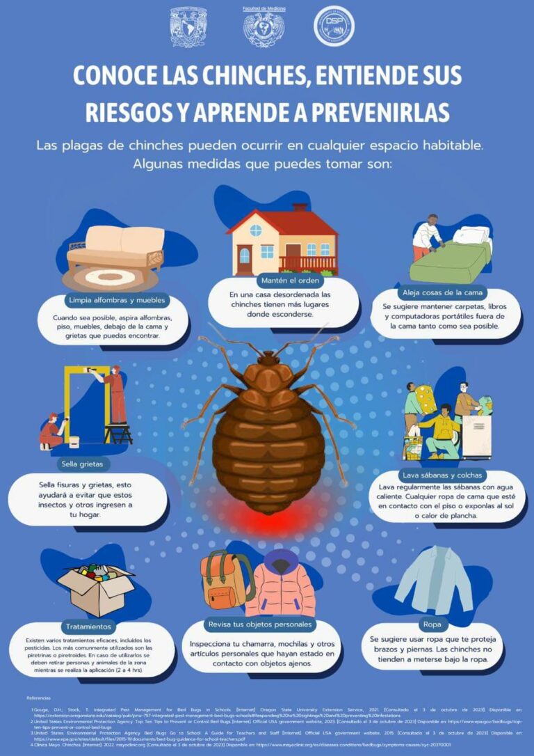 Plaga chinche: Control y prevención eficaz de infestaciones