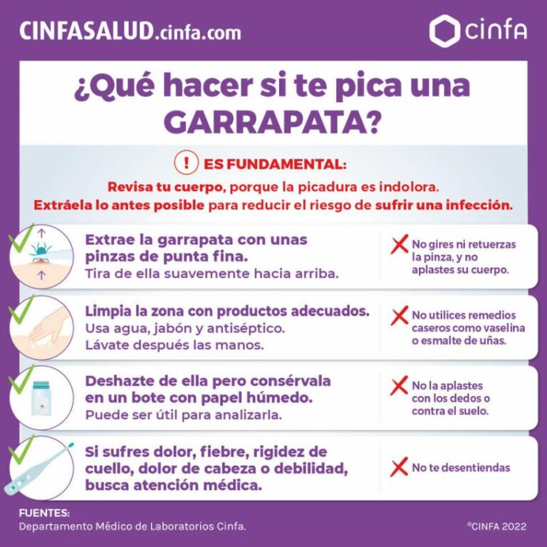 Qué debo hacer si me pica una chinche: Guía de tratamiento