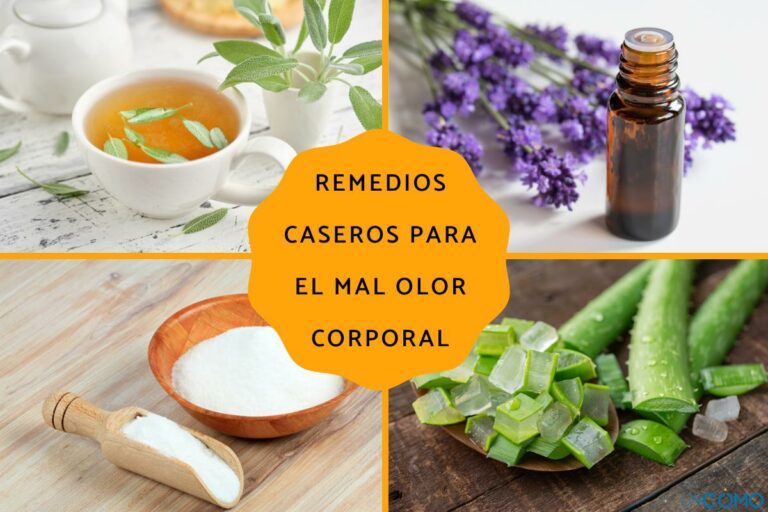 Qué echarse para que no te piquen las chinches: Remedios Efectivos