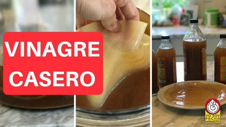 Qué le hace el vinagre a las chinches de cama: Efectos y más