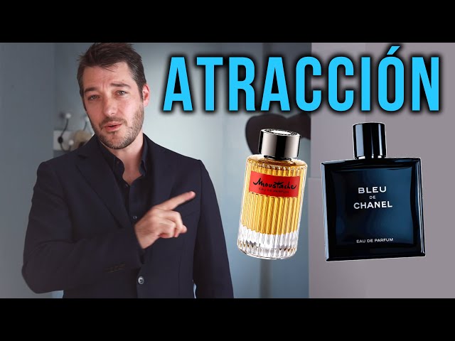 Qué olor les encanta a las chinches: Descúbrelo aquí