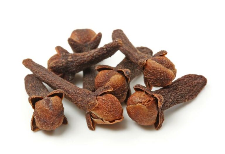 Qué olor mata los chinches: Soluciones efectivas y naturales