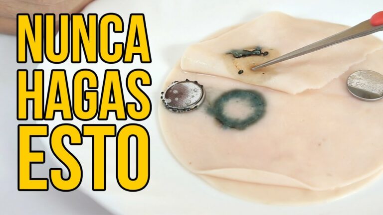 ¿Qué pasa si te comes una chinche? Consecuencias y riesgos